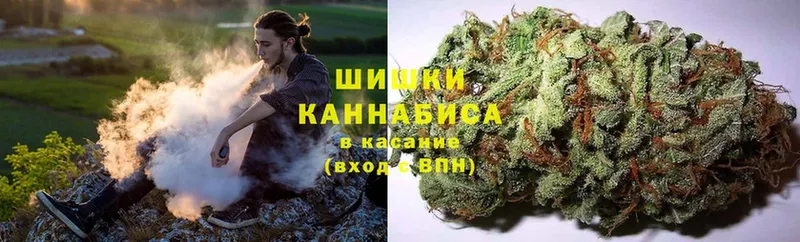 что такое наркотик  Владимир  Бошки марихуана Amnesia 